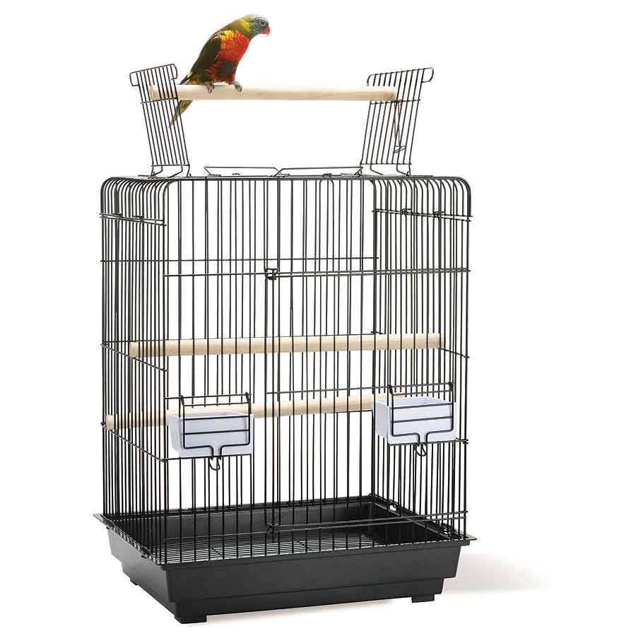 bird-cage-for-sale-in-kolkata