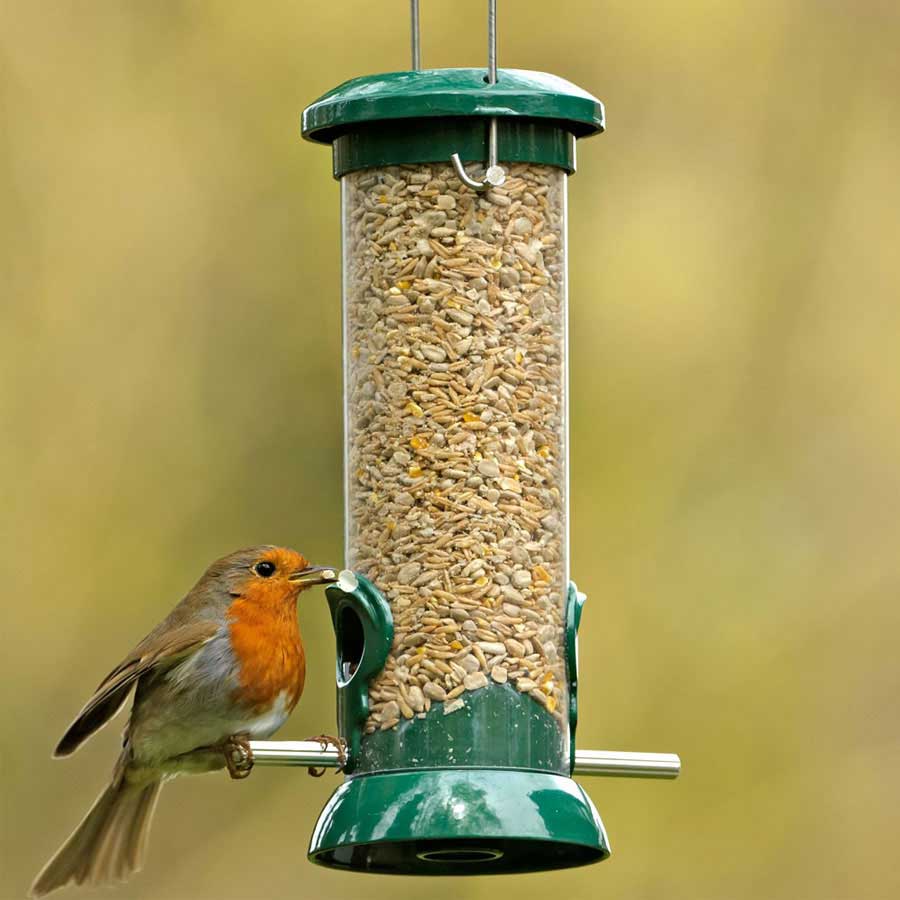 bird-feeders-for-birds-in-india