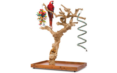 bird-perches-for-sale-in-kolkata